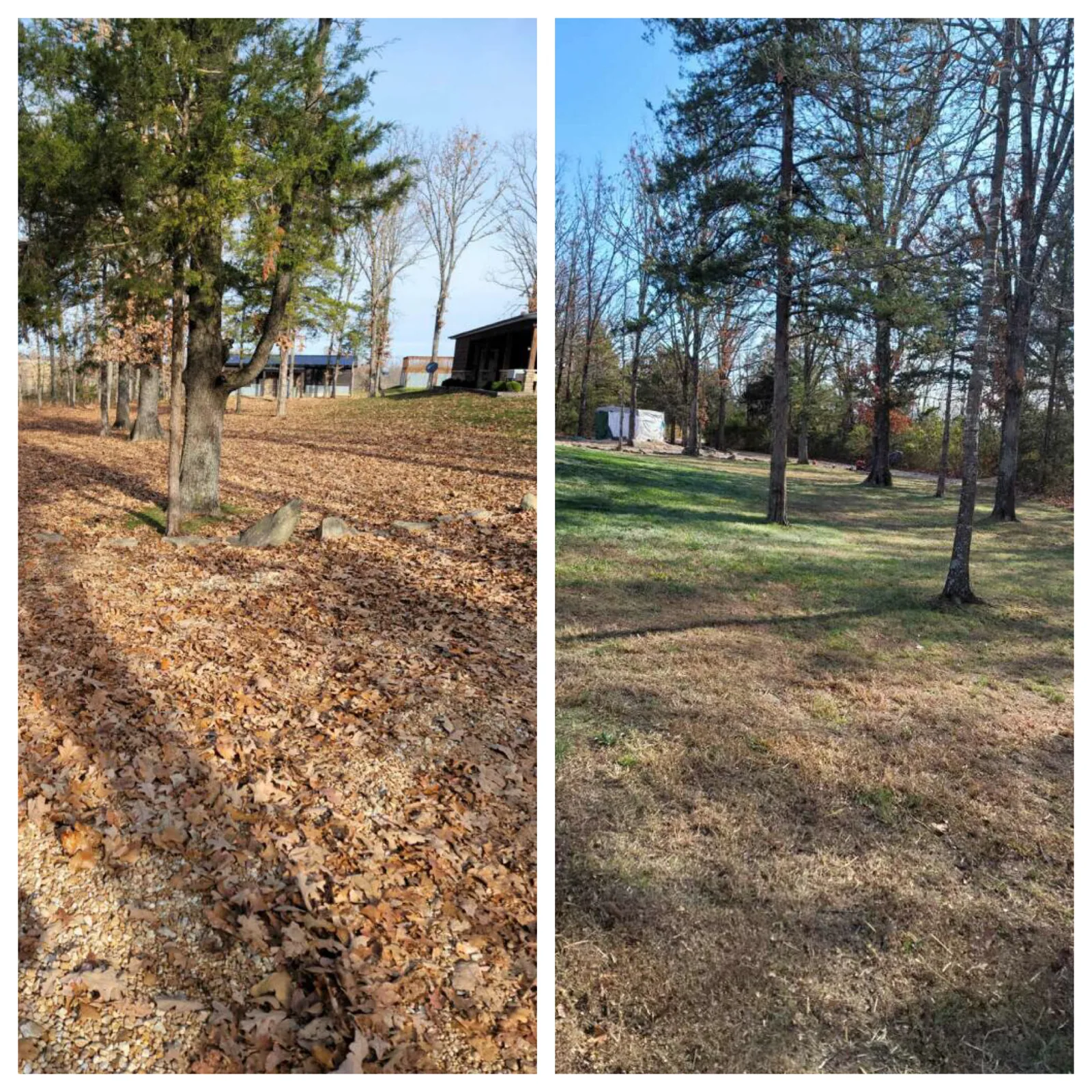 Landscape before and after