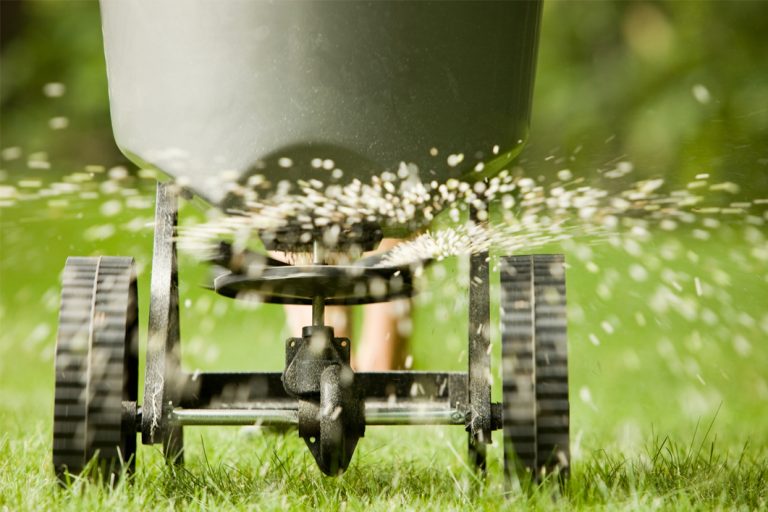 Fertilizer pellets spraying from spreader