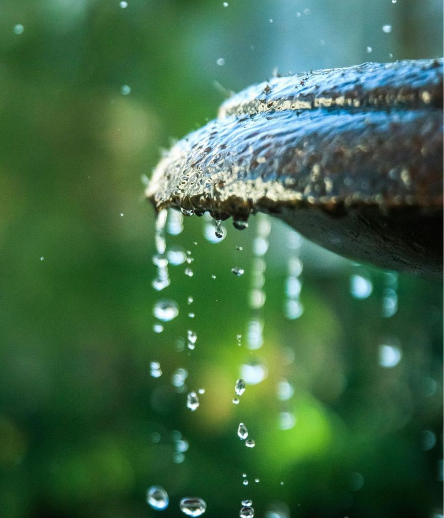 Fountain Closeup