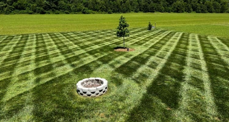 A beautiful lush lawn that receives aerating and overseeding.