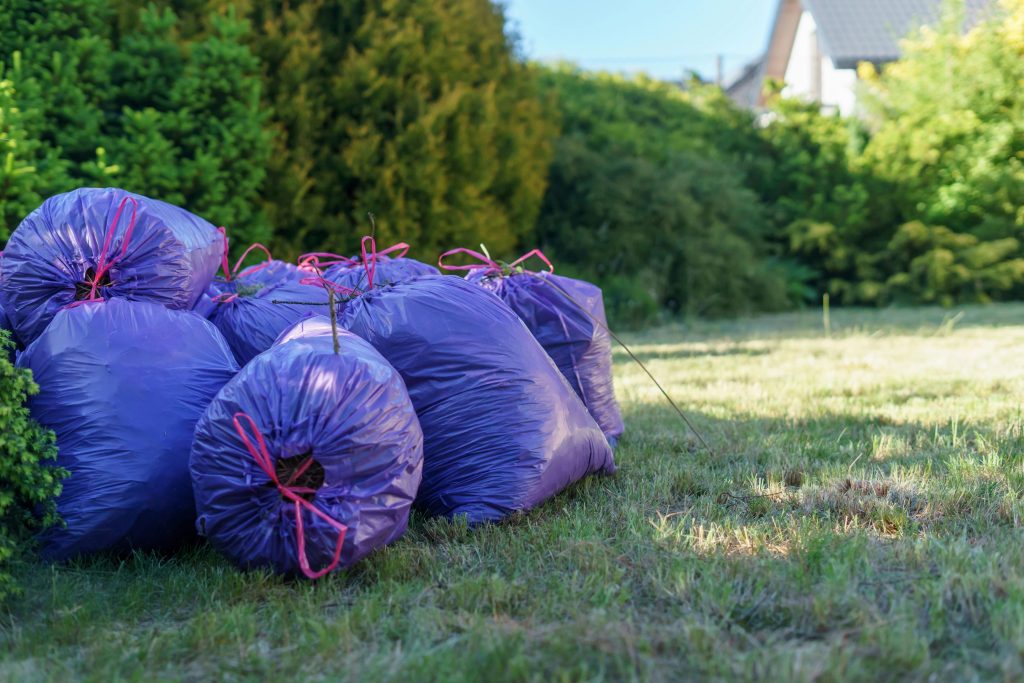 Trash Bag on Grass