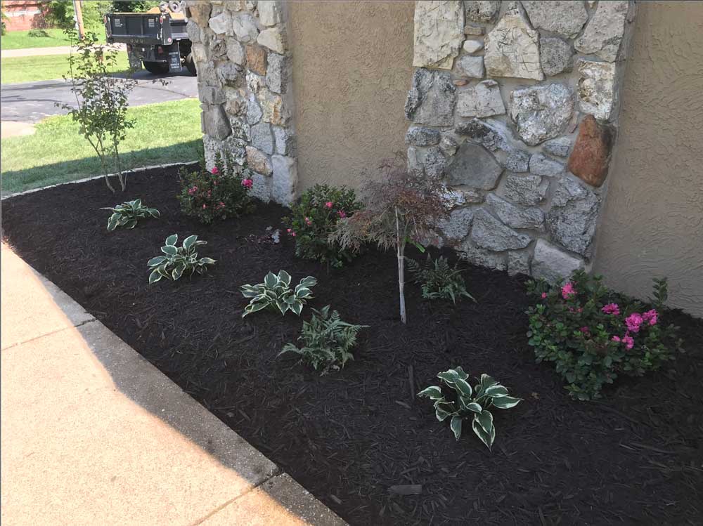 Landscaping Work