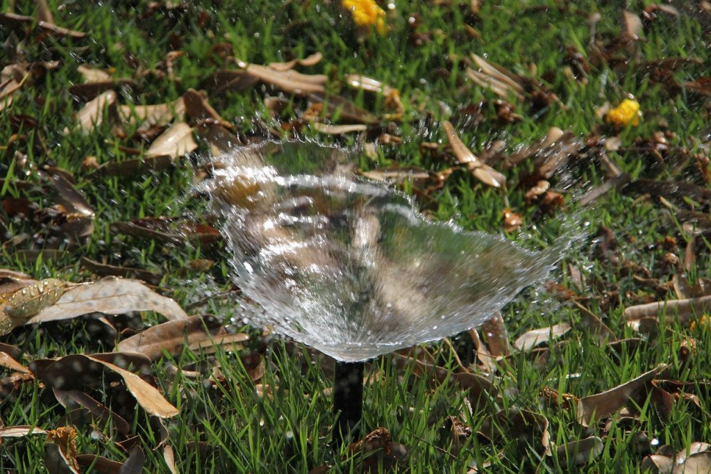 Water Irrigator