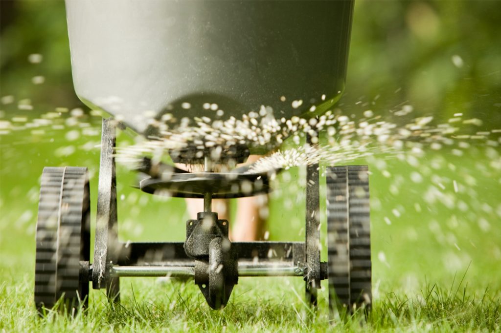 Fertilizer pellets spraying from spreader