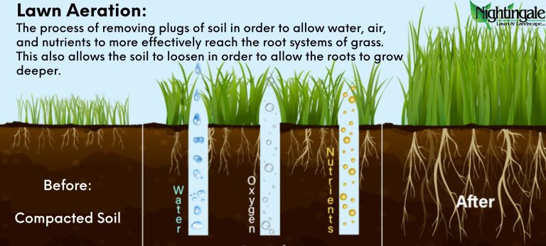 Lawn Aeration Banner