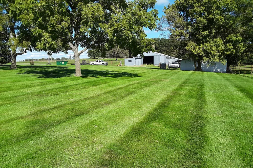 Lawn Mowing Services